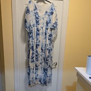Speed Control Blue and White Maxi Dress